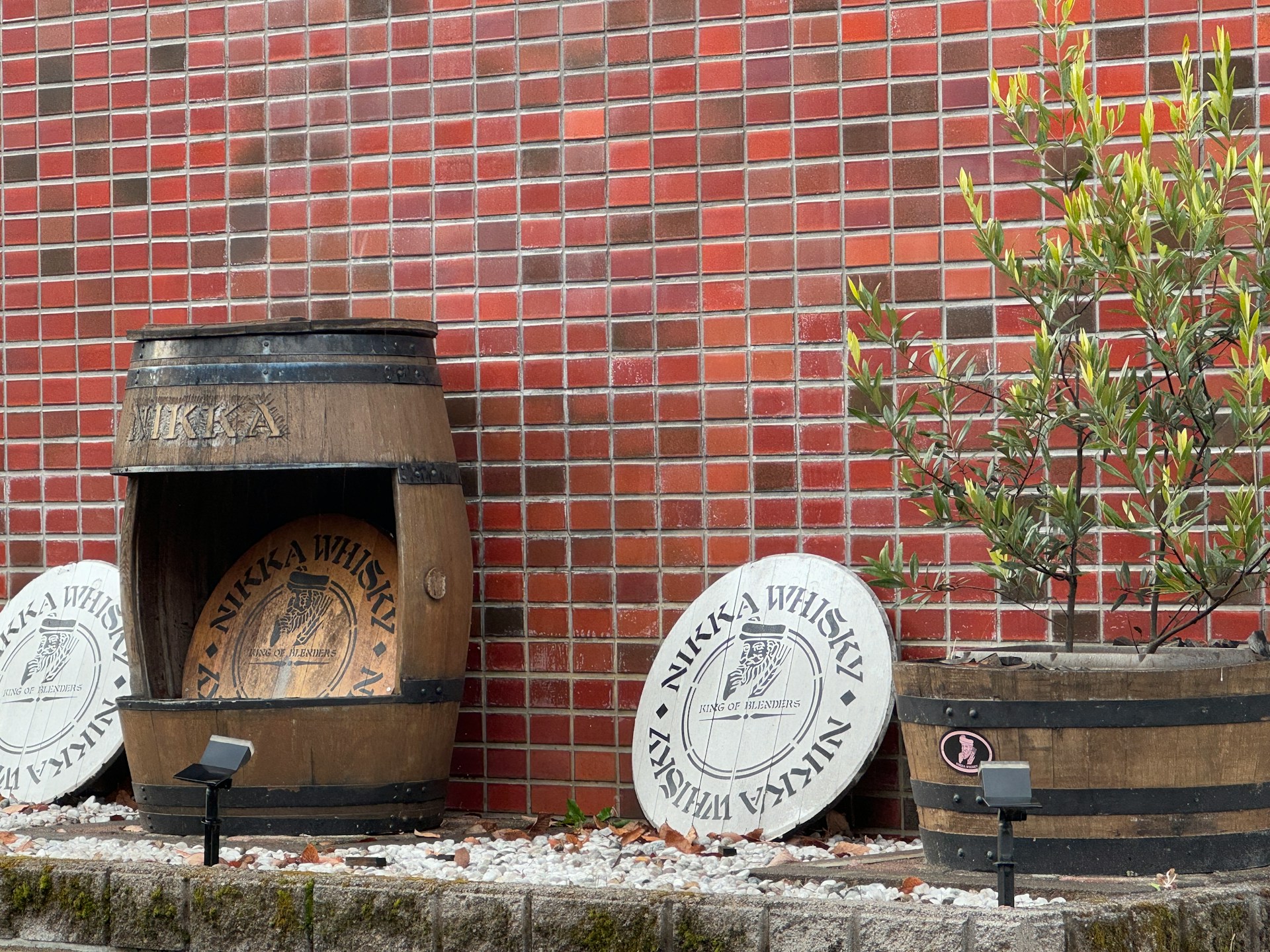 Whisky nikka wymalowana na beczkach